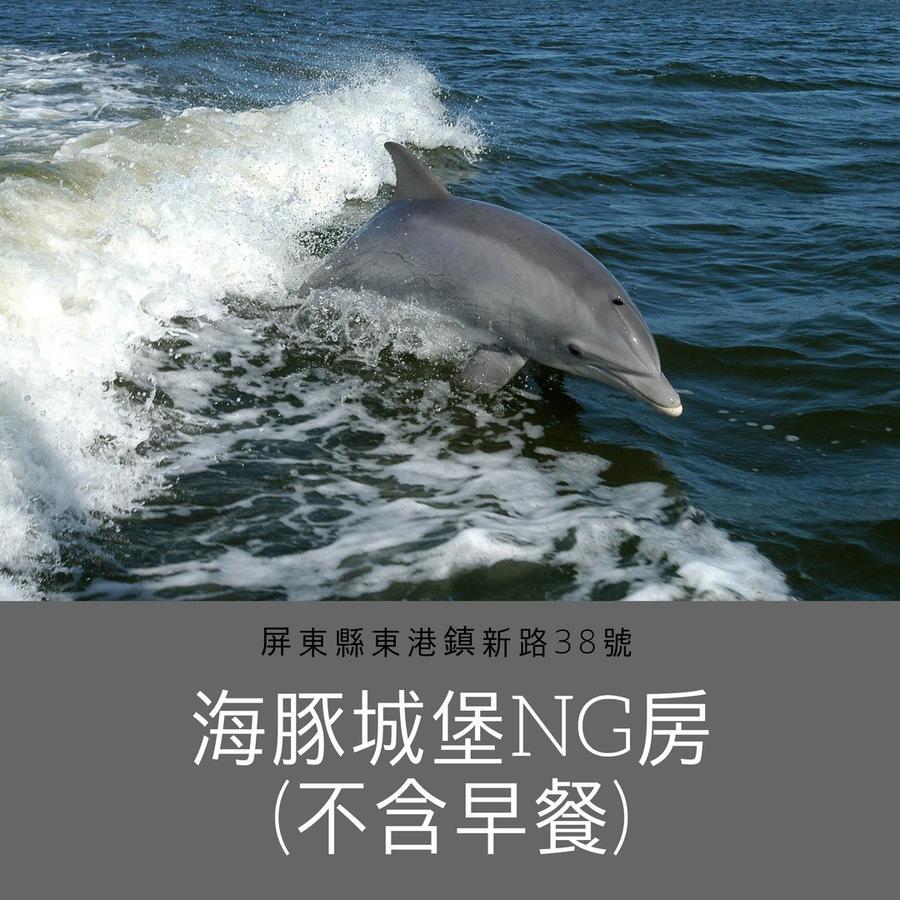 Dolphin Castle Bed and Breakfast Donggang Eksteriør billede